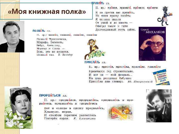  «Моя книжная полка» 