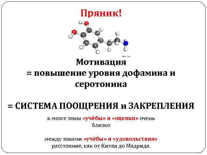 Пряник! Мотивация = повышение уровня дофамина и серотонина = СИСТЕМА ПООЩРЕНИЯ и ЗАКРЕПЛЕНИЯ в