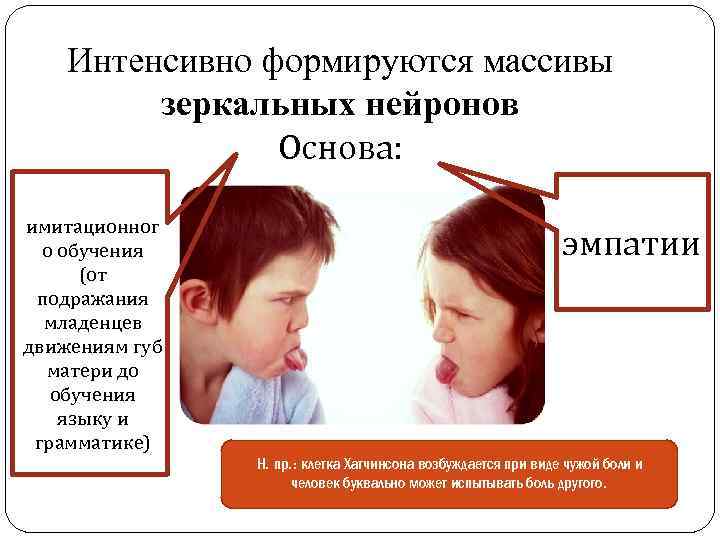 Интенсивно формируются массивы зеркальных нейронов Основа: имитационног о обучения (от подражания младенцев движениям губ