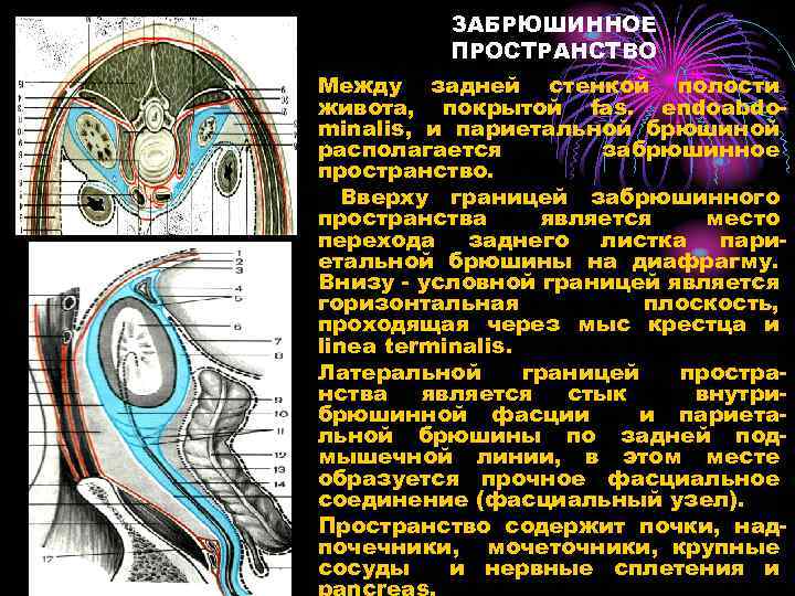 Пространства брюшной полости