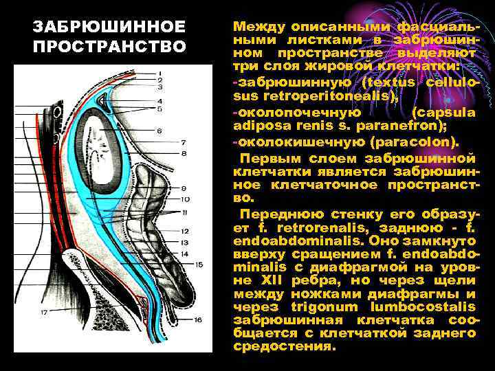 Пространство между