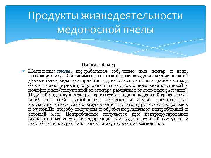 Продукты жизнедеятельности медоносной пчелы Пчелиный мед Медоносные пчелы, перерабатывая собранные ими нектар и падь,