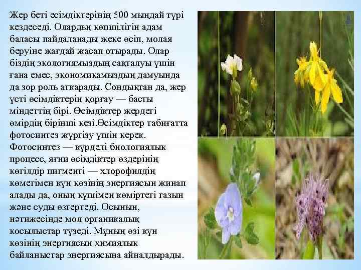 Жер беті есімдіктерінің 500 мыңдай түрі кездеседі. Олардьң көпшілігін адам баласы пайдаланады жеке өсіп,