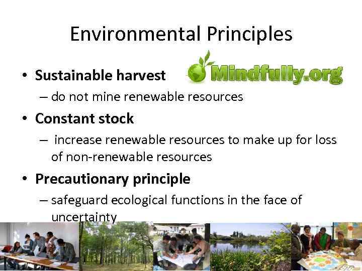 Environmental Principles • Sustainable harvest – do not mine renewable resources • Constant stock