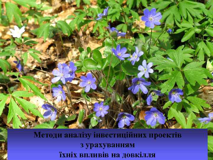 Методи аналізу інвестиційних проектів з урахуванням їхніх впливів на довкілля 