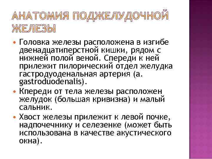  Головка железы расположена в изгибе двенадцатиперстной кишки, рядом с нижней полой веной. Спереди