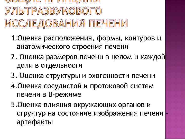 1. Оценка расположения, формы, контуров и анатомического строения печени 2. Оценка размеров печени в