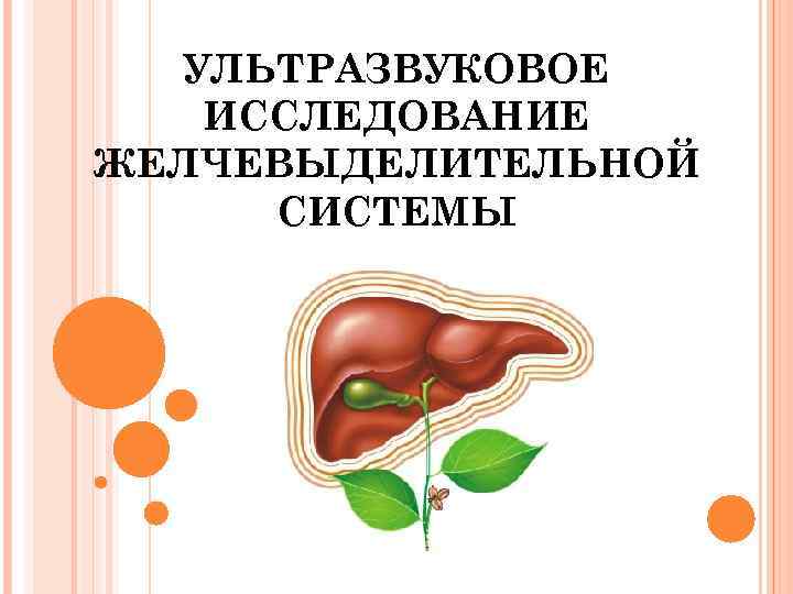 УЛЬТРАЗВУКОВОЕ ИССЛЕДОВАНИЕ ЖЕЛЧЕВЫДЕЛИТЕЛЬНОЙ СИСТЕМЫ 