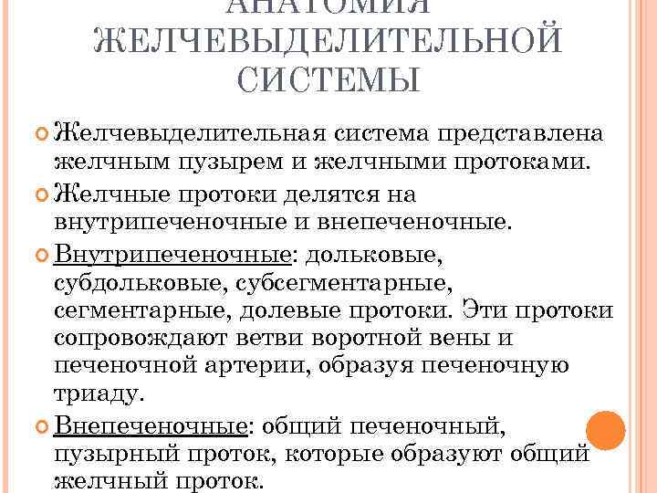 АНАТОМИЯ ЖЕЛЧЕВЫДЕЛИТЕЛЬНОЙ СИСТЕМЫ Желчевыделительная система представлена желчным пузырем и желчными протоками. Желчные протоки делятся