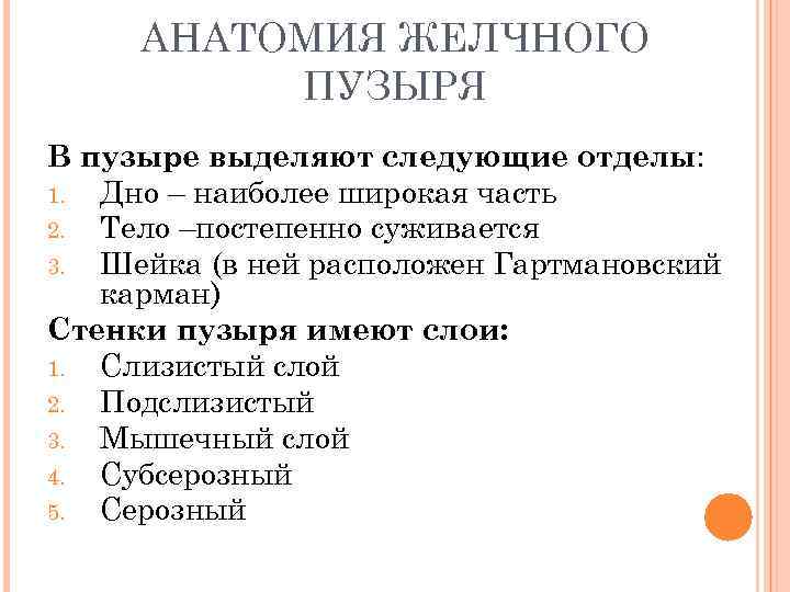 АНАТОМИЯ ЖЕЛЧНОГО ПУЗЫРЯ В пузыре выделяют следующие отделы: 1. Дно – наиболее широкая часть