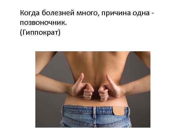 Когда болезней много, причина одна - позвоночник. (Гиппократ) 