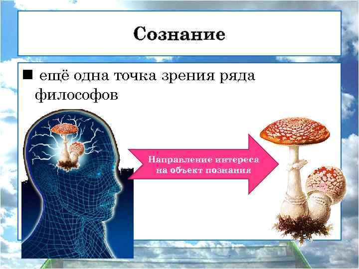 Сознание n ещё одна точка зрения ряда философов Направление интереса на объект познания 