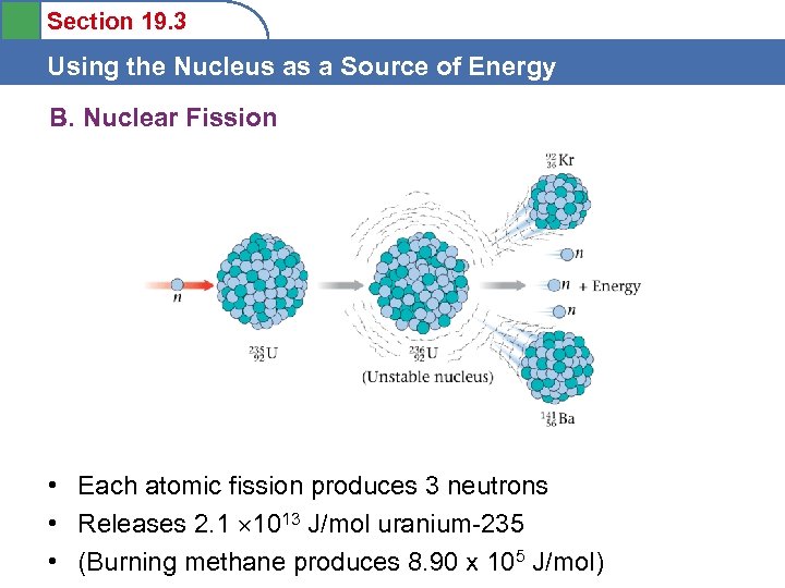 Section 19. 3 Using the Nucleus as a Source of Energy B. Nuclear Fission