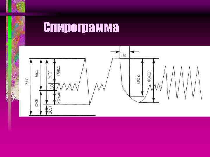Спирограмма 