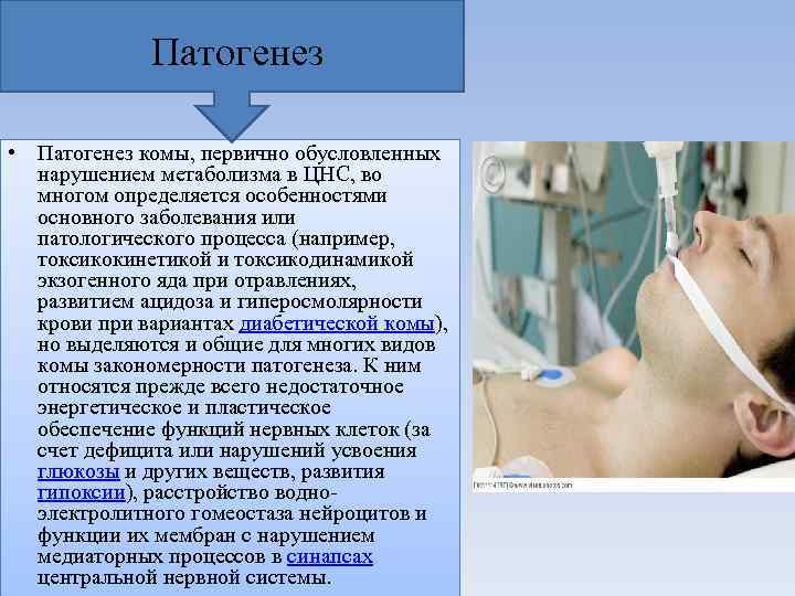 Патогенез • Патогенез комы, первично обусловленных нарушением метаболизма в ЦНС, во многом определяется особенностями