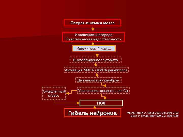 Острая ишемия мозга Истощение кислорода Энергетическая недостаточность Ишемический каскад Высвобождение глутамата Активация NMDA /