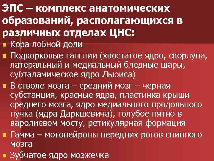 ЭПС – комплекс анатомических образований, располагающихся в различных отделах ЦНС: n n n Кора