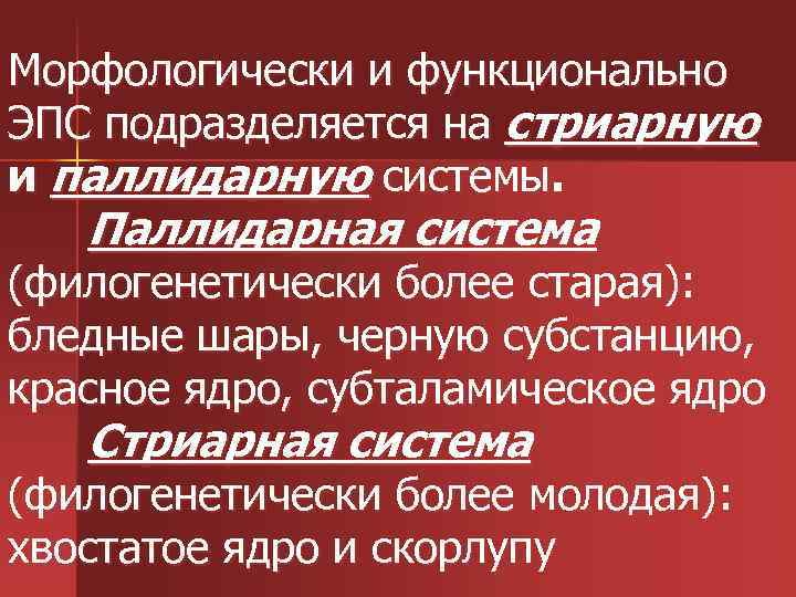 Морфологически и функционально ЭПС подразделяется на стриарную и паллидарную системы. Паллидарная система (филогенетически более