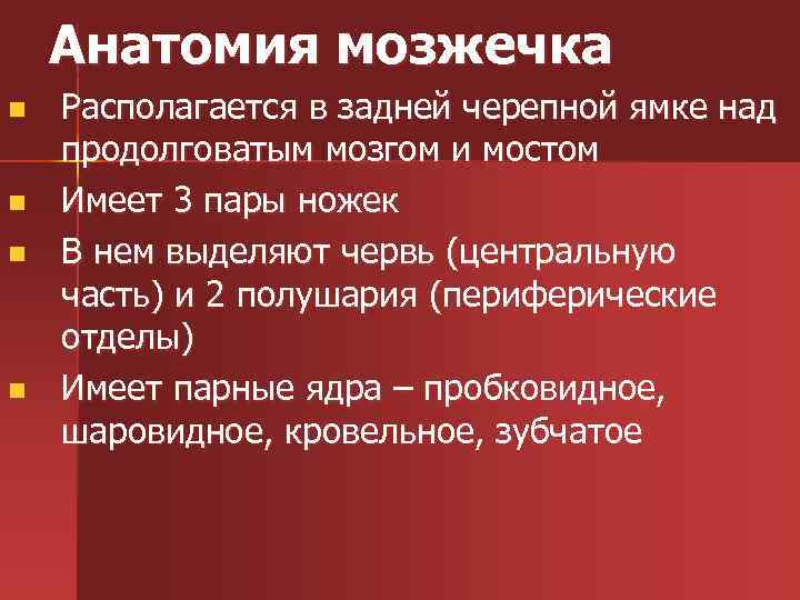Анатомия мозжечка n n Располагается в задней черепной ямке над продолговатым мозгом и мостом