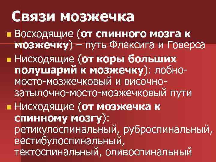 Связи мозжечка n Восходящие (от спинного мозга к мозжечку) – путь Флексига и Говерса