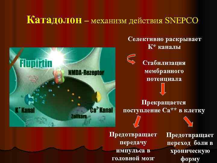 Катадолон – механизм действия SNEPCO Селективно раскрывает К* каналы Стабилизация мембранного потенциала Прекращается поступление