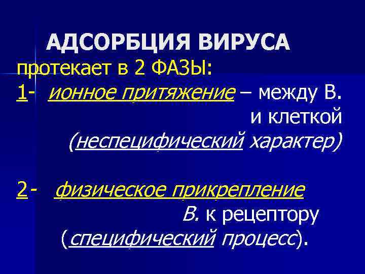 АДСОРБЦИЯ ВИРУСА протекает в 2 ФАЗЫ: 1 - ионное притяжение – между В. и