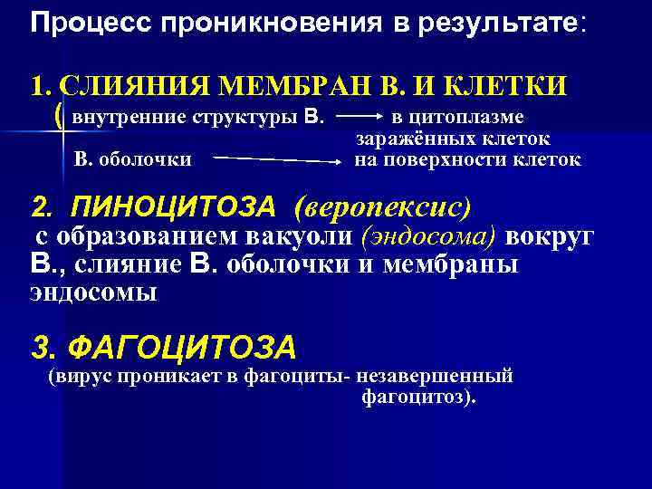 Процесс проникновения в результате: 1. СЛИЯНИЯ МЕМБРАН В. И КЛЕТКИ ( внутренние структуры В.