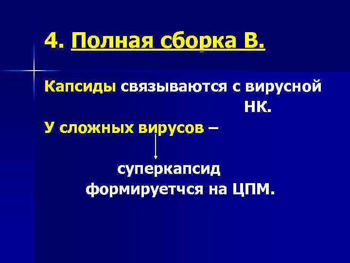 4. Полная сборка В. Капсиды связываются с вирусной НК. У сложных вирусов – суперкапсид