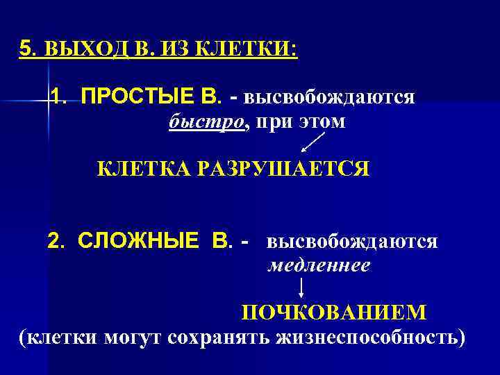 5. ВЫХОД В. ИЗ КЛЕТКИ: 1. ПРОСТЫЕ В. - высвобождаются быстро, при этом КЛЕТКА