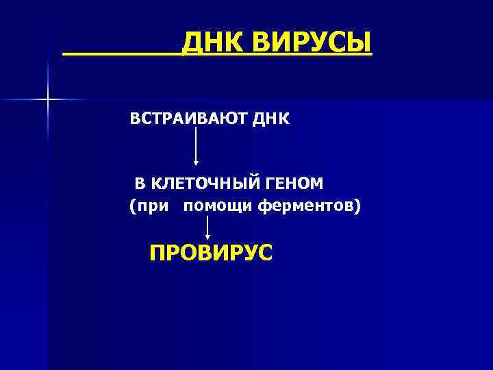 ДНК ВИРУСЫ ВСТРАИВАЮТ ДНК В КЛЕТОЧНЫЙ ГЕНОМ (при помощи ферментов) ПРОВИРУС 