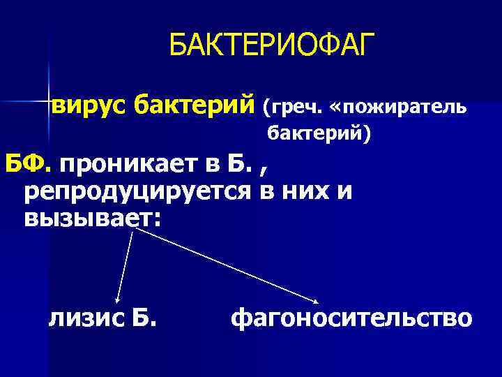 БАКТЕРИОФАГ вирус бактерий (греч. «пожиратель бактерий) БФ. проникает в Б. , репродуцируется в них