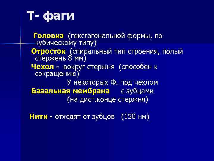 Т- фаги Головка (гексгагональной формы, по кубическому типу) Отросток (спиральный тип строения, полый стержень