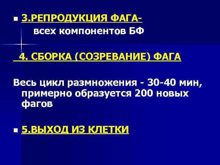 n 3. РЕПРОДУКЦИЯ ФАГАвсех компонентов БФ 4. СБОРКА (СОЗРЕВАНИЕ) ФАГА Весь цикл размножения -