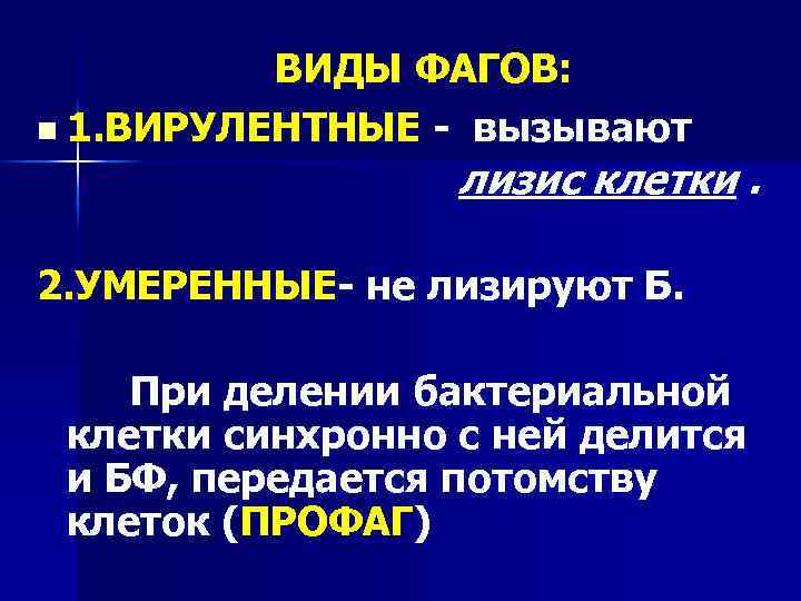 ВИДЫ ФАГОВ: n 1. ВИРУЛЕНТНЫЕ - вызывают лизис клетки. 2. УМЕРЕННЫЕ- не лизируют Б.