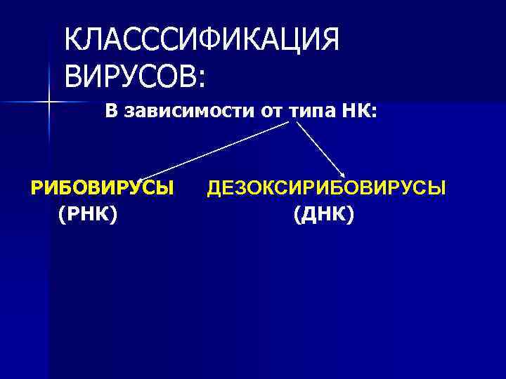 КЛАСССИФИКАЦИЯ ВИРУСОВ: В зависимости от типа НК: РИБОВИРУСЫ (РНК) ДЕЗОКСИРИБОВИРУСЫ (ДНК) 