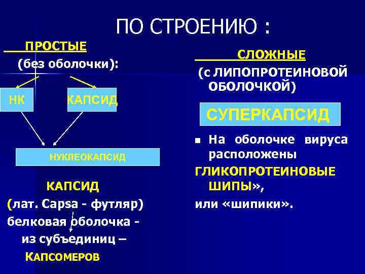 ПО СТРОЕНИЮ : ПРОСТЫЕ (без оболочки): НК НК КАПСИД СЛОЖНЫЕ (с ЛИПОПРОТЕИНОВОЙ ОБОЛОЧКОЙ) СУПЕРКАПСИД