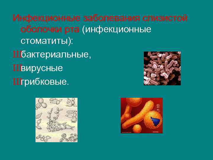 Инфекционные заболевания слизистой оболочки рта (инфекционные стоматиты): Шбактериальные, Швирусные Шгрибковые. 