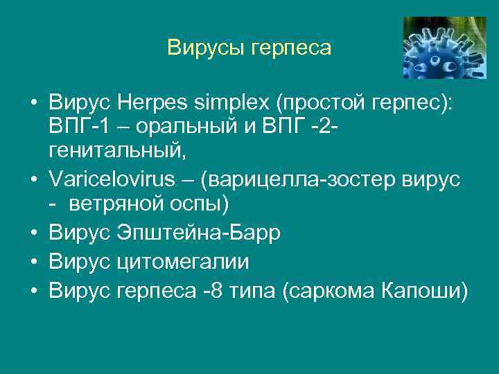 Вирусы герпеса • Вирус Herpes simplex (простой герпес): ВПГ-1 – оральный и ВПГ -2