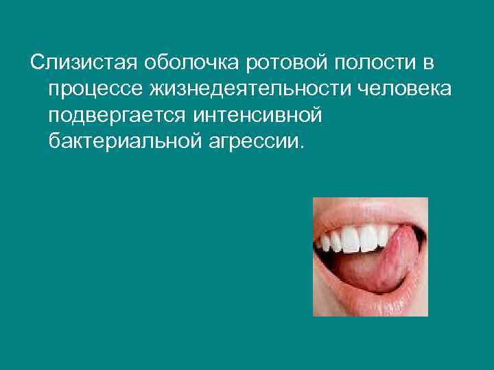 Слизистая оболочка ротовой полости в процессе жизнедеятельности человека подвергается интенсивной бактериальной агрессии. 