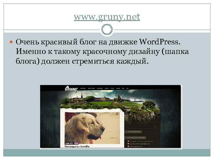 www. gruny. net Очень красивый блог на движке Word. Press. Именно к такому красочному