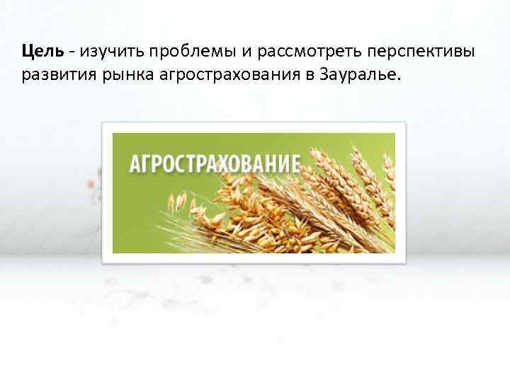 Цель - изучить проблемы и рассмотреть перспективы развития рынка агрострахования в Зауралье. 
