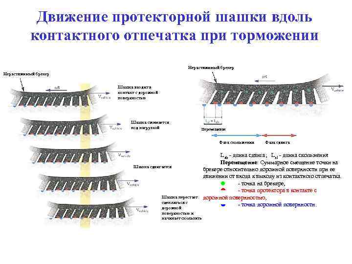 Движение протекторной шашки вдоль контактного отпечатка при торможении Нерастяжимый брекер Шашка входит в контакт