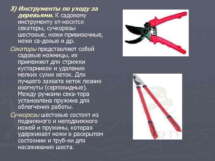 3) Инструменты по уходу за деревьями. К садовому инструменту от носятся секаторы, сучкорезы шестовые,