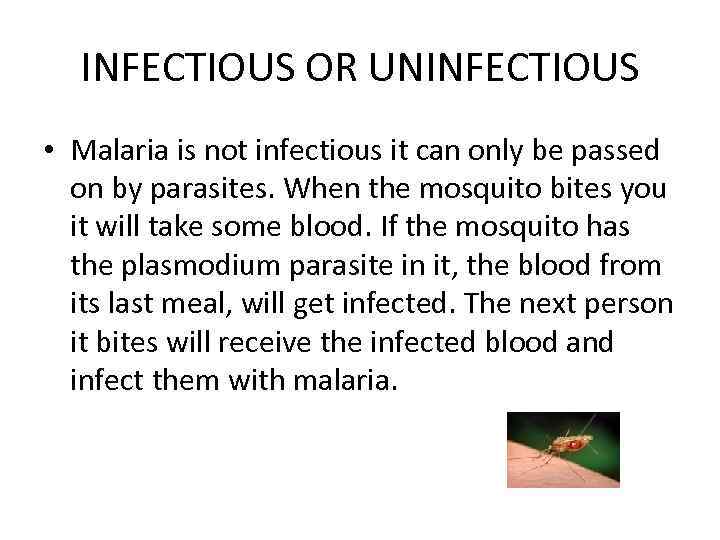 INFECTIOUS OR UNINFECTIOUS • Malaria is not infectious it can only be passed on