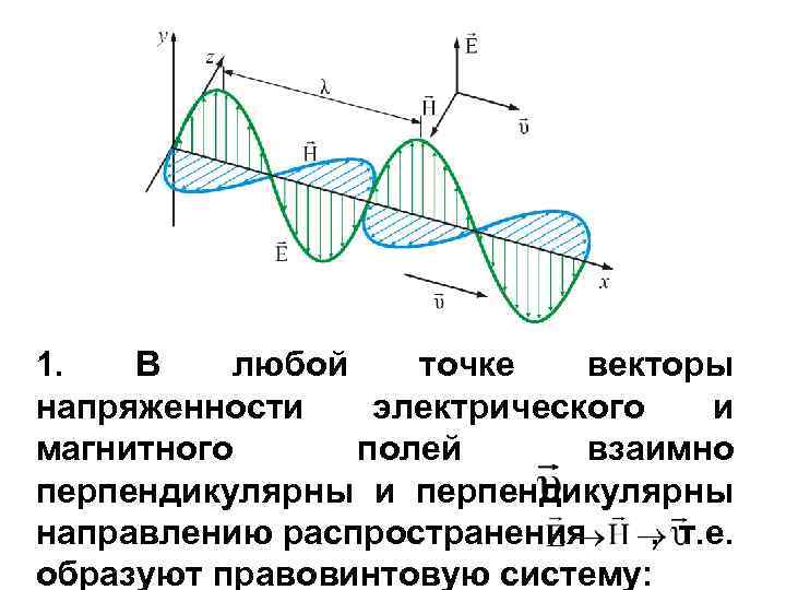 На рисунке представлен профиль бегущей поперечной волны распространяющейся на поверхности воды