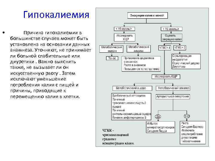 Гипокалиемия причины лечение