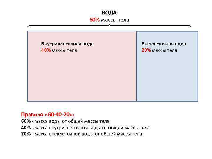 Вода 60