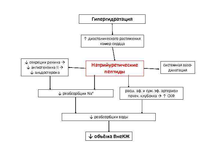 Гипергидратация ↑ диастолического растяжения камер сердца ↓ секреции ренина → ↓ ангиотензина II →