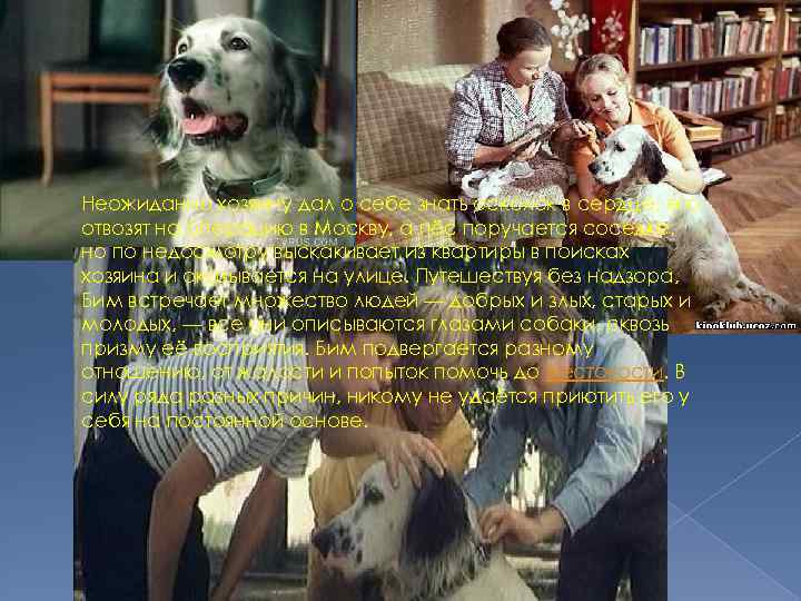 Неожиданно хозяину дал о себе знать осколок в сердце, его отвозят на операцию в