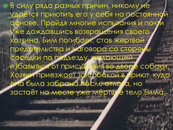  В силу ряда разных причин, никому не удаётся приютить его у себя на